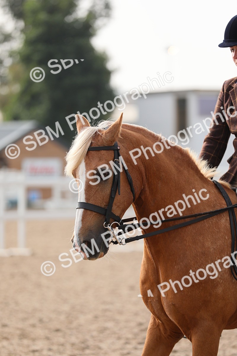 SBM_10083 - Class 302 Ridden M&M -Large Breeds