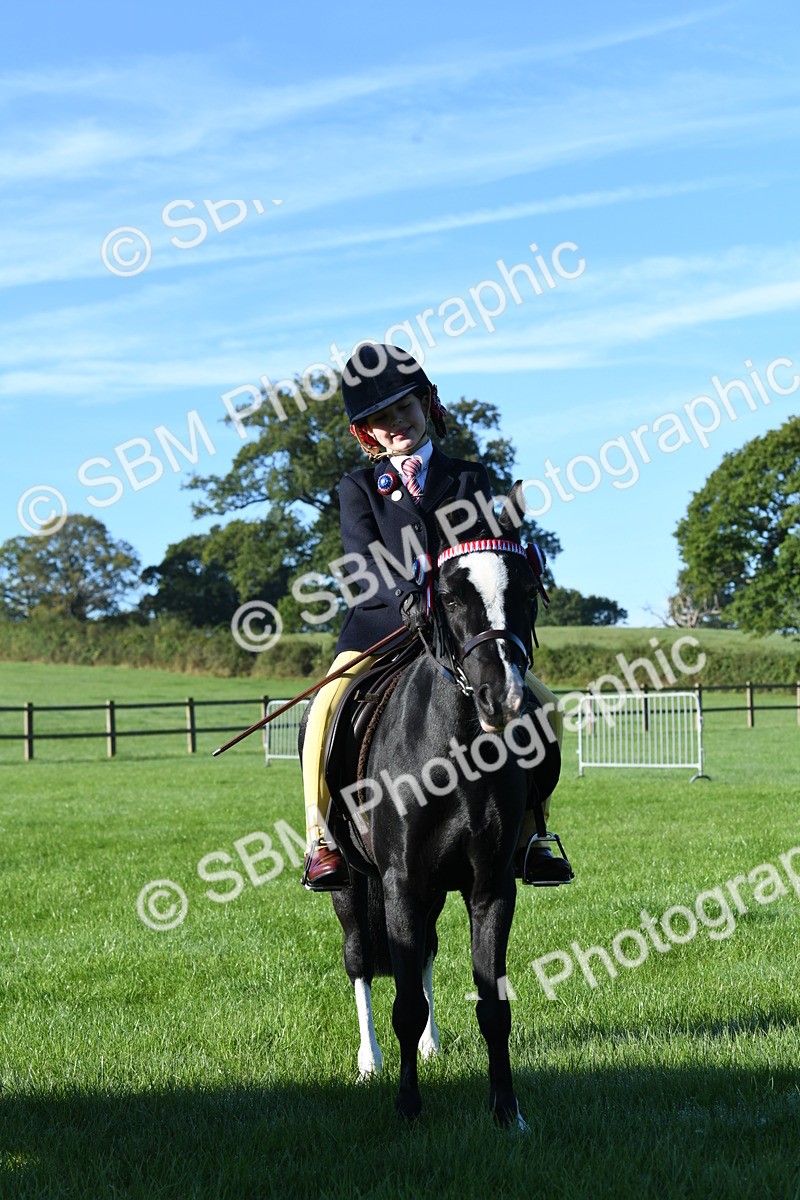 SBM_34038 - S16 - Condition & Turnout - Ridden