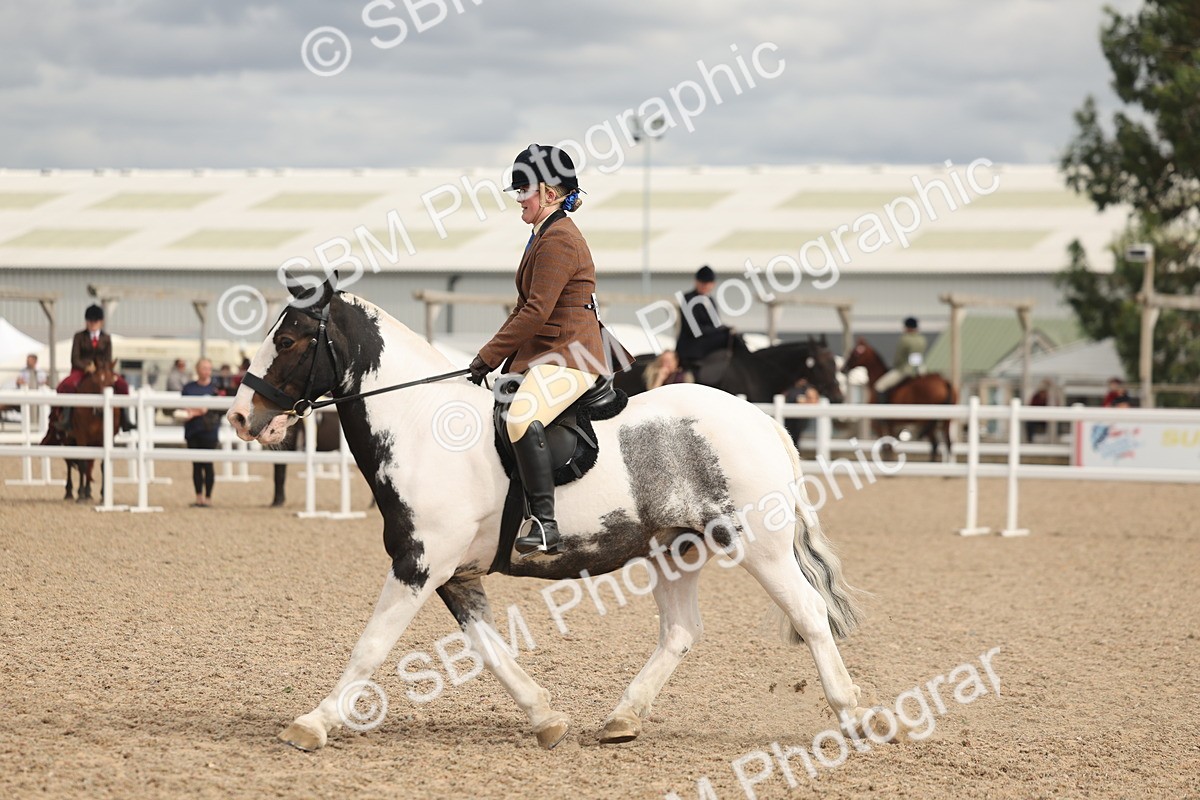 SBM_18013 - Class 314 - Family Horse Pony
