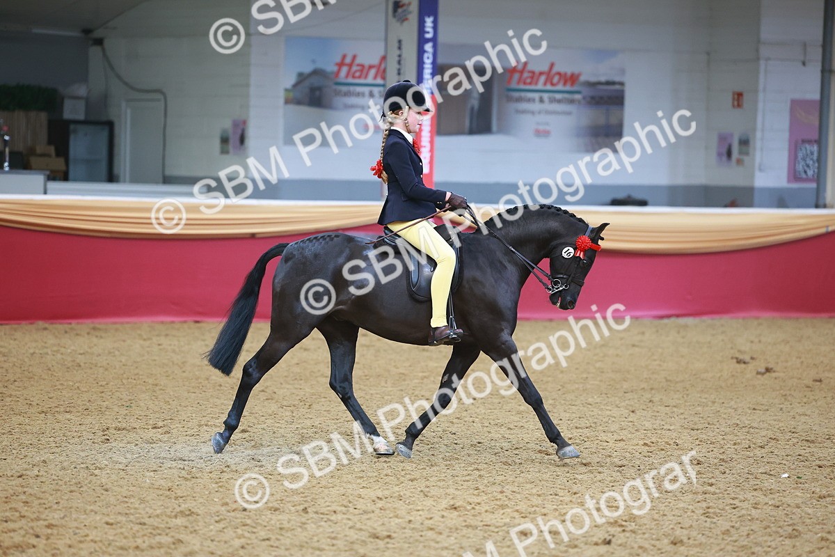 SBM_12535 - Class 103 - HOYS Veteran Qualifier - Ridden Pre Vet