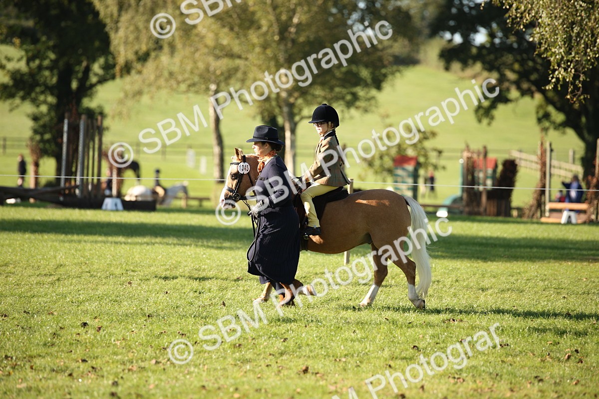 SBM_34225 - S9 - Lead Rein Equitation