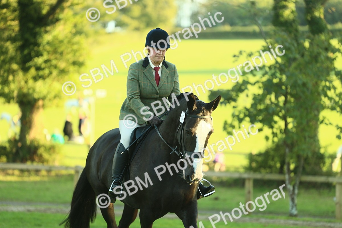 SBM_55639 - S14 - Riding Club Horse