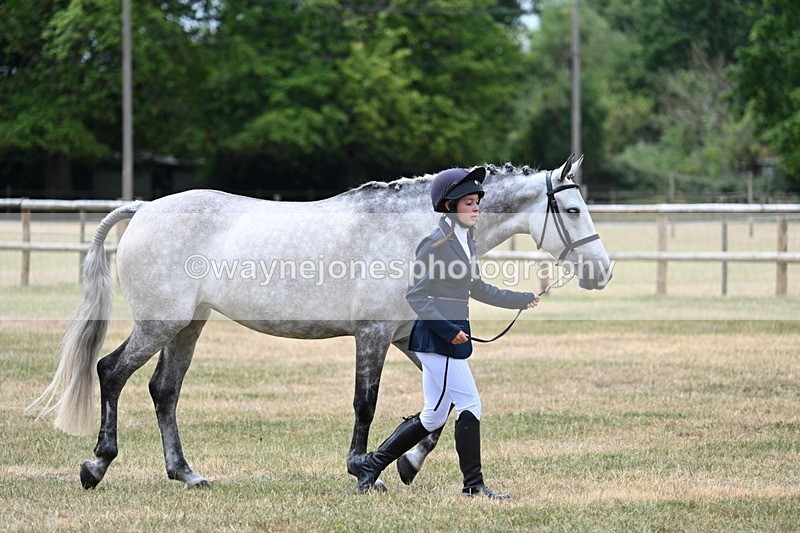 WJ7_1875 - Class 4a Prettiest Mare 14.2hh and over hand