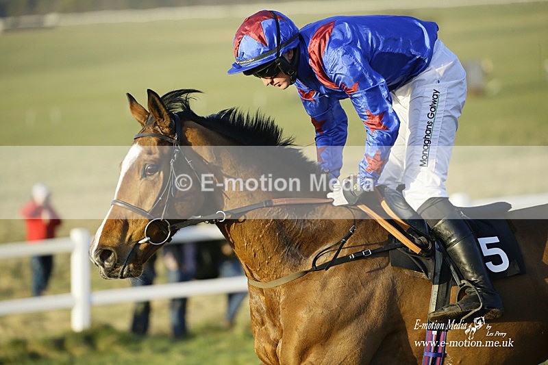PtP 270222 735 - South & West Wilts Point-to-Point Larkhill 27/02/22