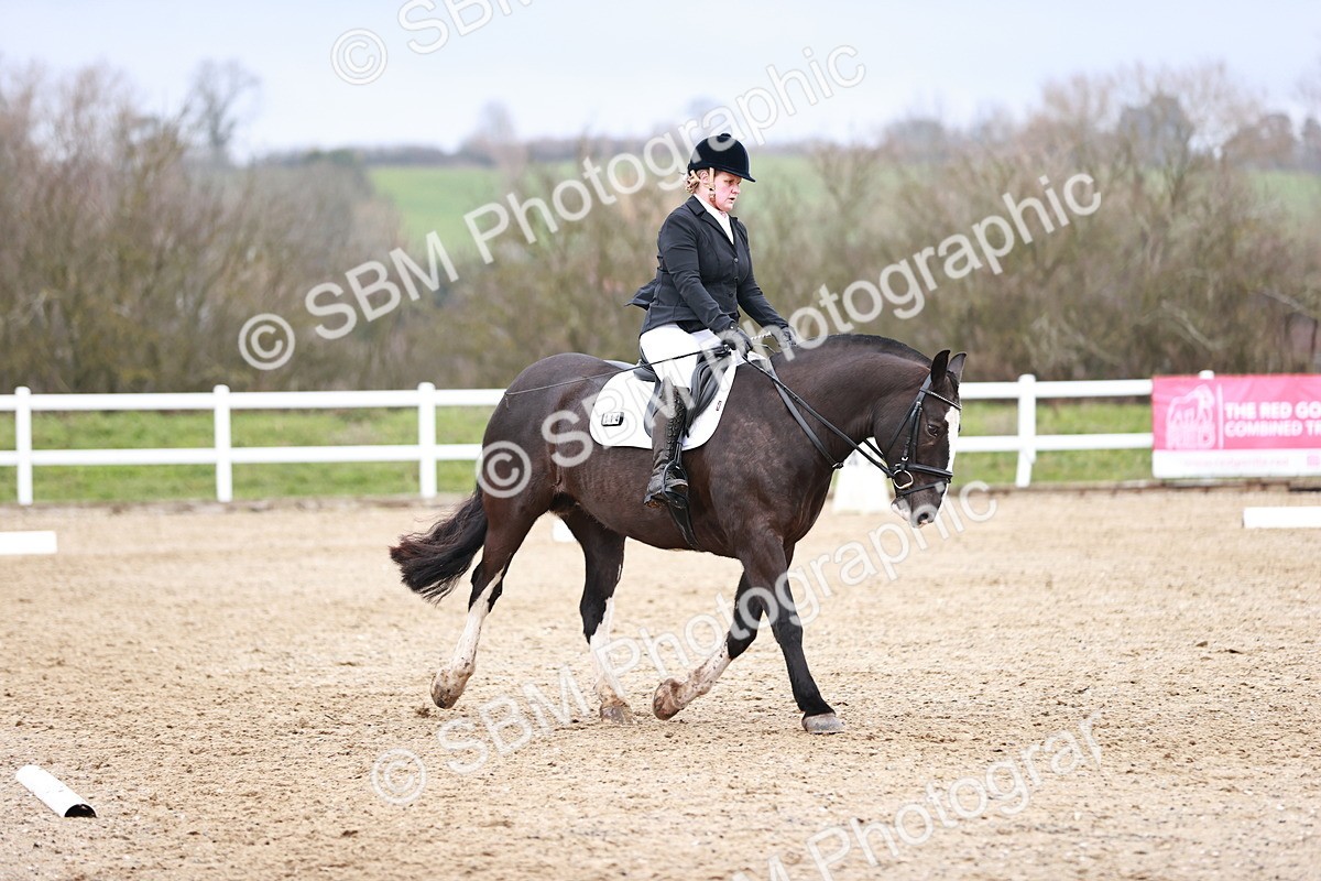 SBM_005351 - Elementary 1