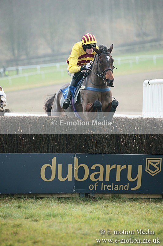 PtP 251118-49 - Vine & Craven Point-to Point Barbury Racecourse 25/11/18