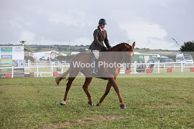JPP_3760 - Working Hunter Championship