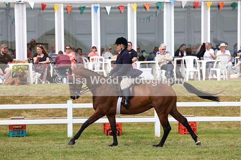 3E7A0938 - Class 8: Open Riding Horse/Hack