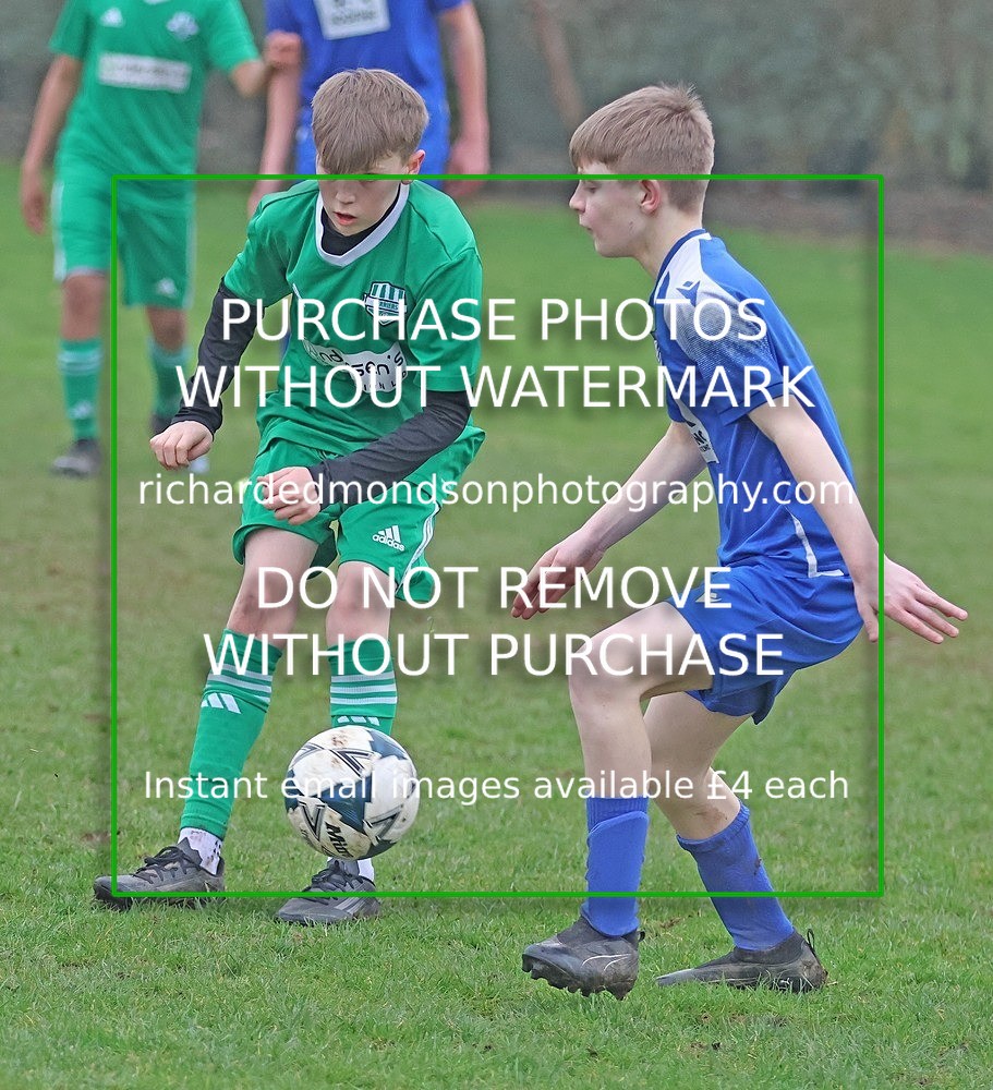 533A6614 - Lonsdale Terriers