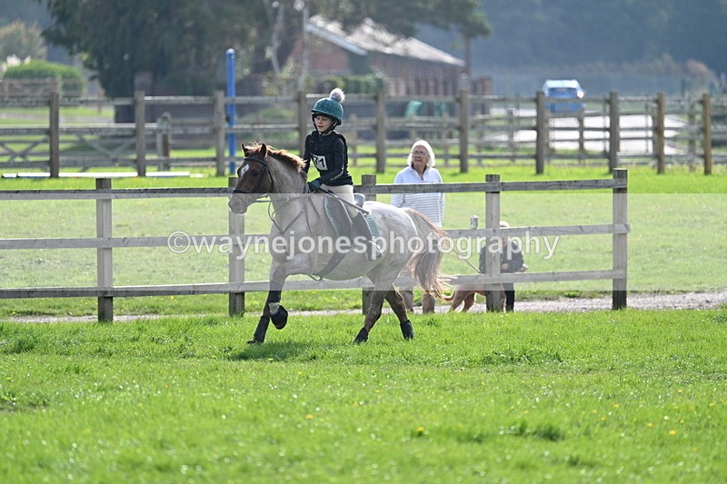 WJ7_4977 - 60cm Time 11:11 to 11:19