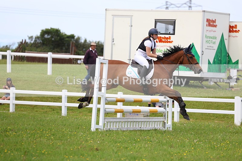 3E7A1749 - Class 13: Senior British Novice/90cm open