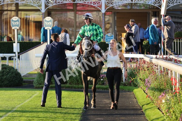 yr08102021r7-32 - Race 7 5.25pm The IRE Incentive, It Pays To Buy Irish Handicap