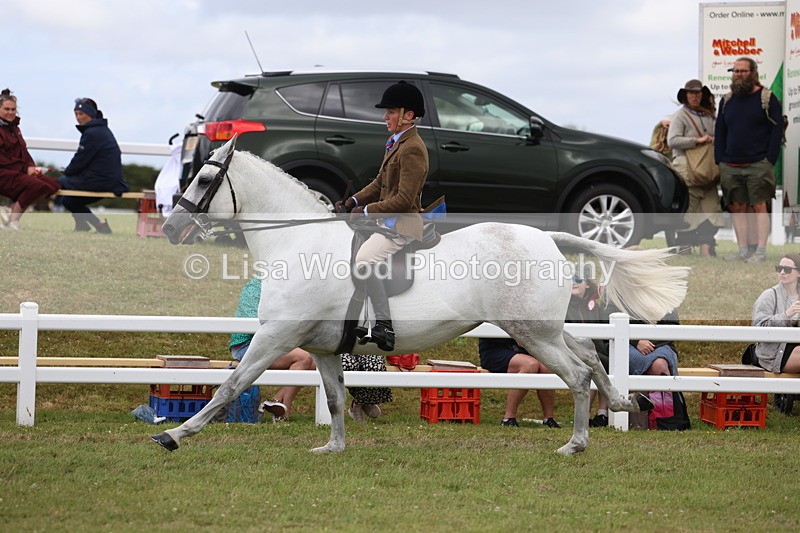 3E7A1525 - Class 9: Open Hunter