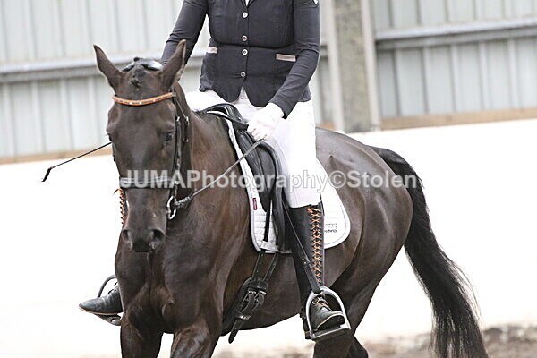 SIAL5361 - CAbin Dressage 5th july 2025