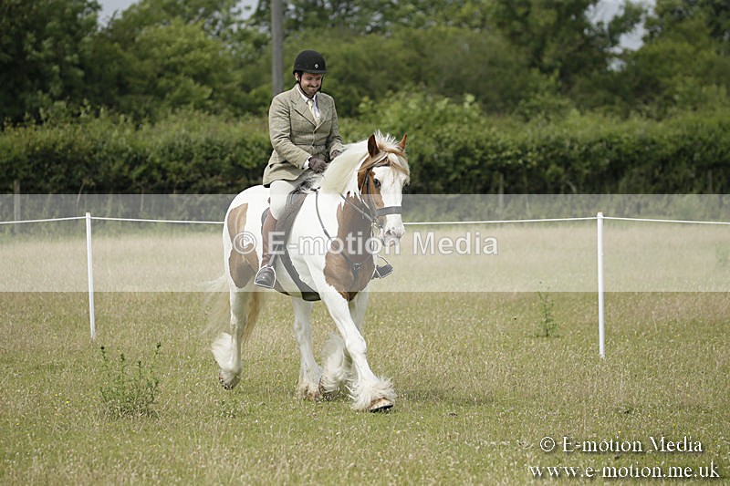 B230619-0428 - Bourne Valley Riding Club Summer Show 23/06/19