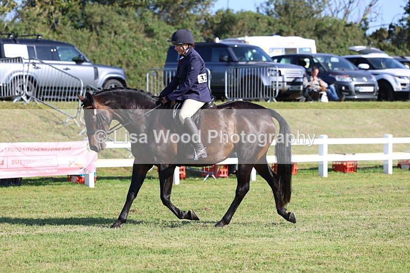 3E7A5349 - Class 2: Rising Star Large Hack/Riding Horse
