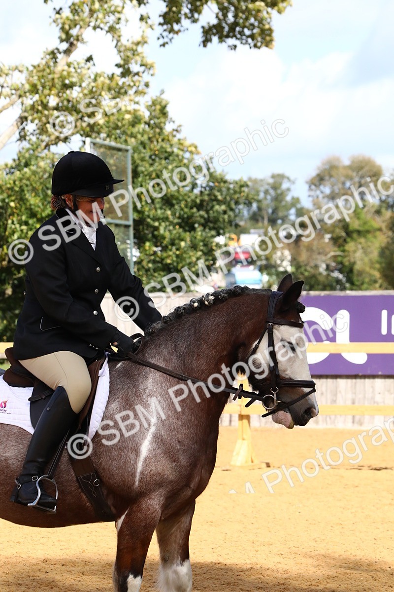 SBM_18396 - D31 - Grand Tour PYO Open .