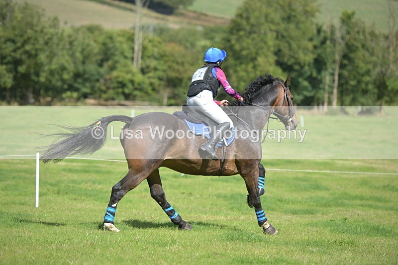 RAY_8734 - Class 2: Trekenning Open: Wall