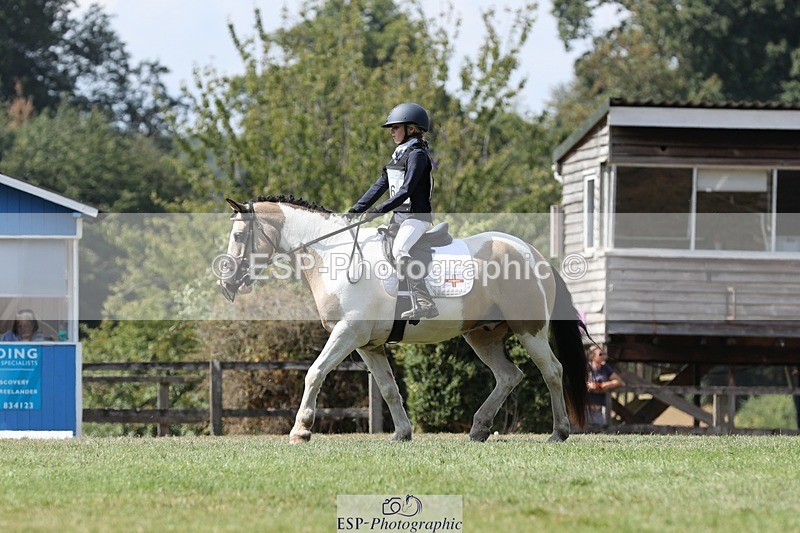 250823A-133532-31324 - Arena D