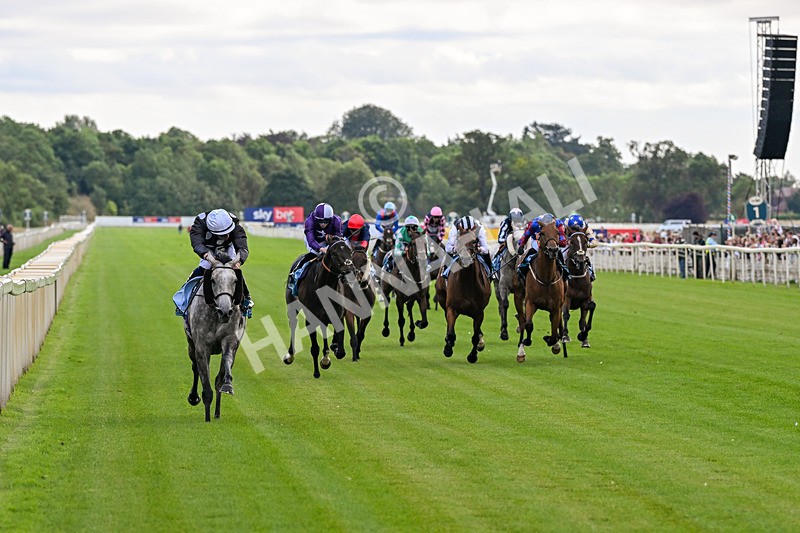 250726-Race 6-Likealot-7647 - Race 6 16.17pm Sky Bet Build A Bet Handicap