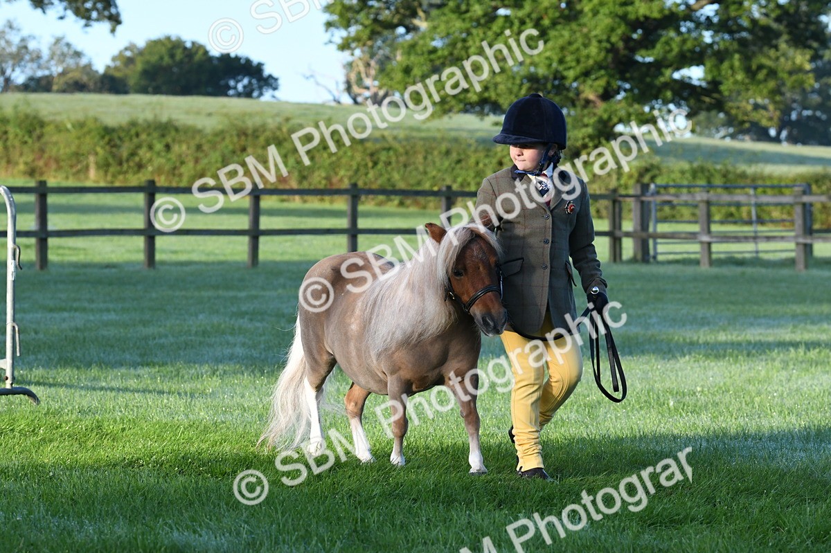 SBM_32486 - S15 - Condition & Turnout In Hand