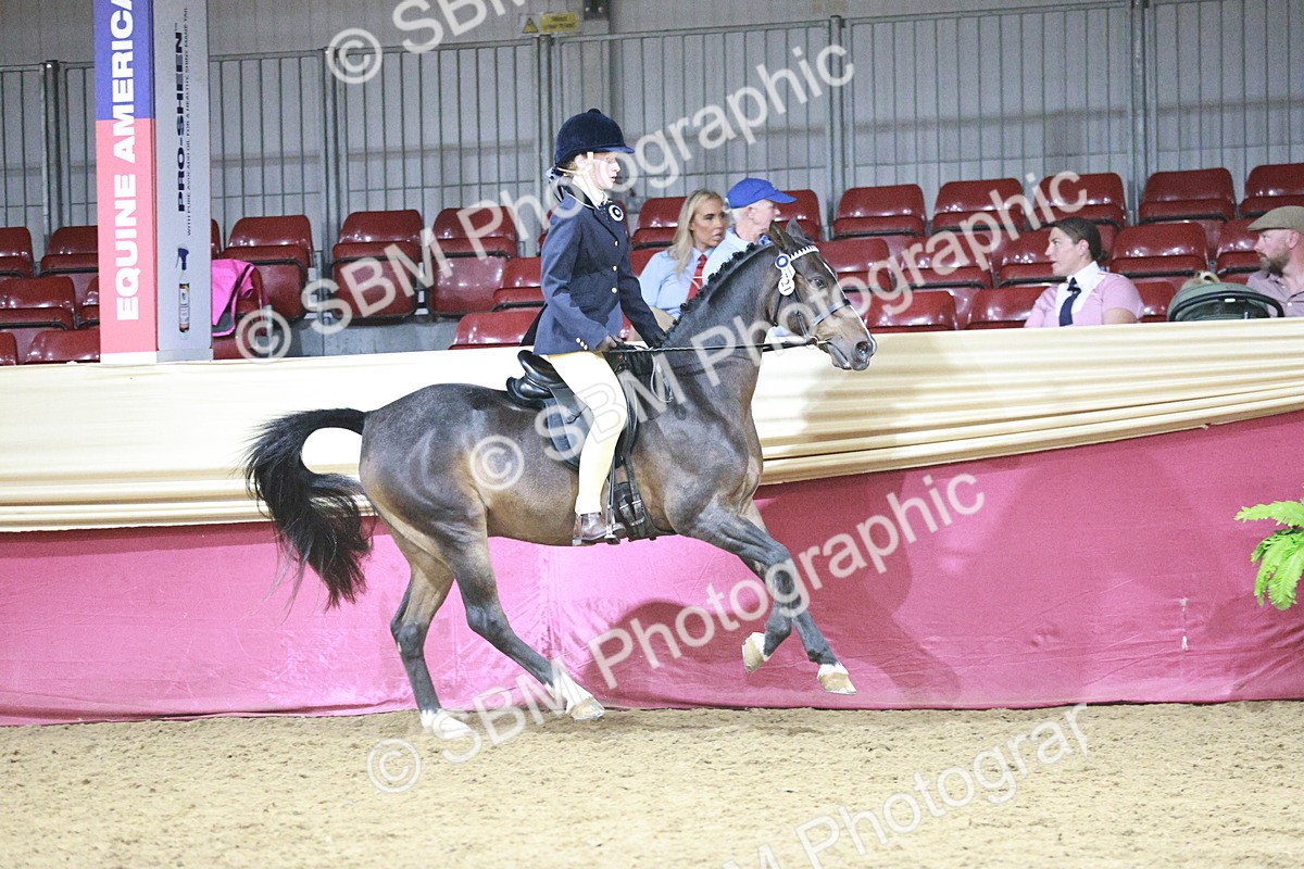 SBM_08056 - Class 11R - Regional Ridden Veteran