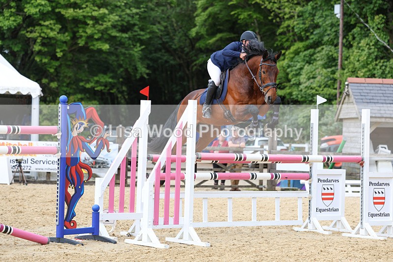 3E7A7876 - Class 8: Senior Foxhunter/1.20 open