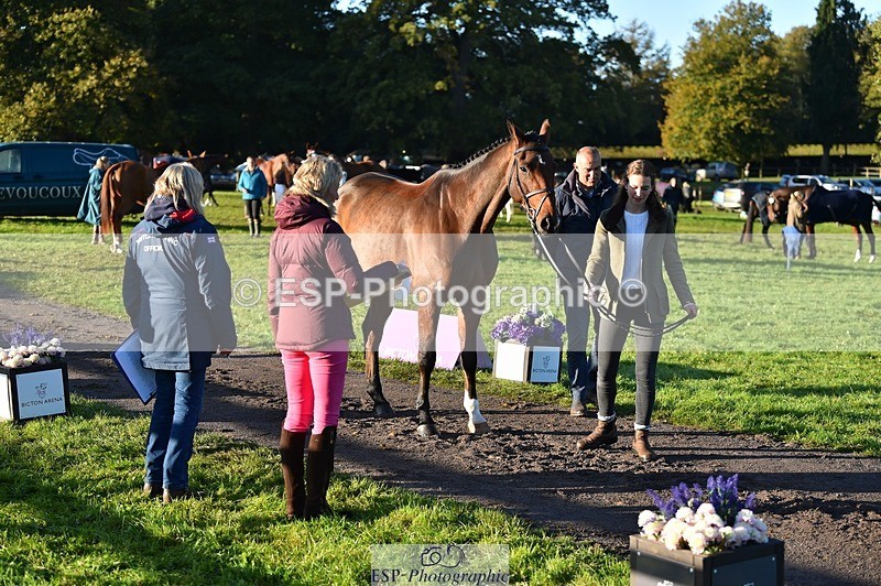 231022-091408-21636 - 605-SPORTSFIELD.U2-Katie.Corbin-TrotUp+SJ