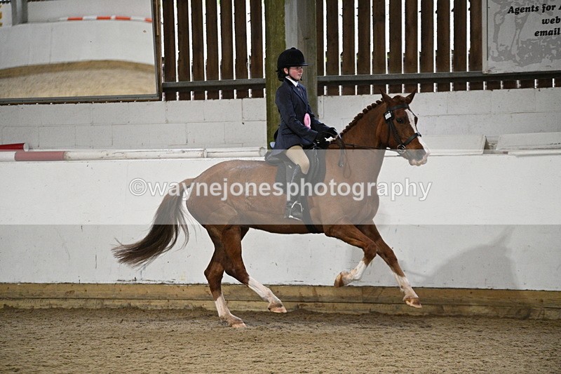 WJ7_4427 - Class 17 Ridden Cob