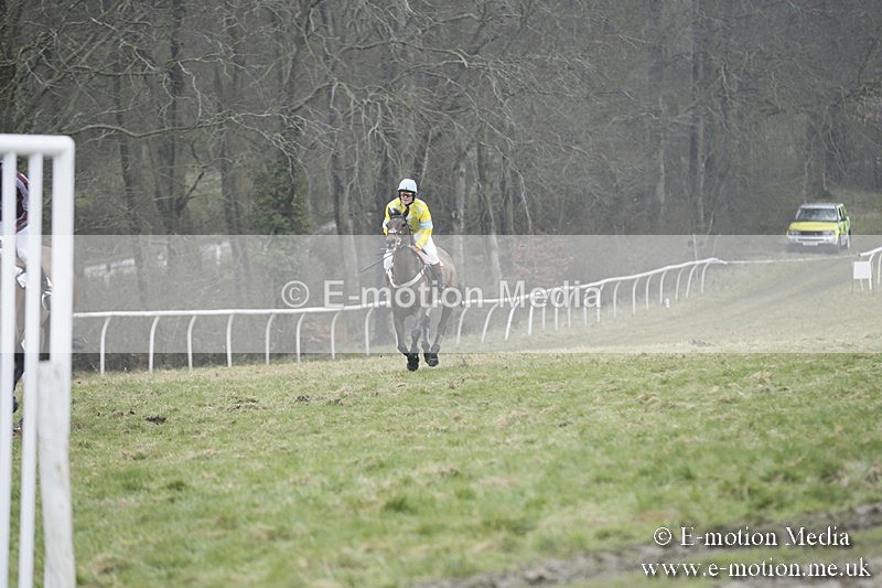 PtP 020418 -306 - Old Berks Point-to-Point Races Easter Monday 02/04/18