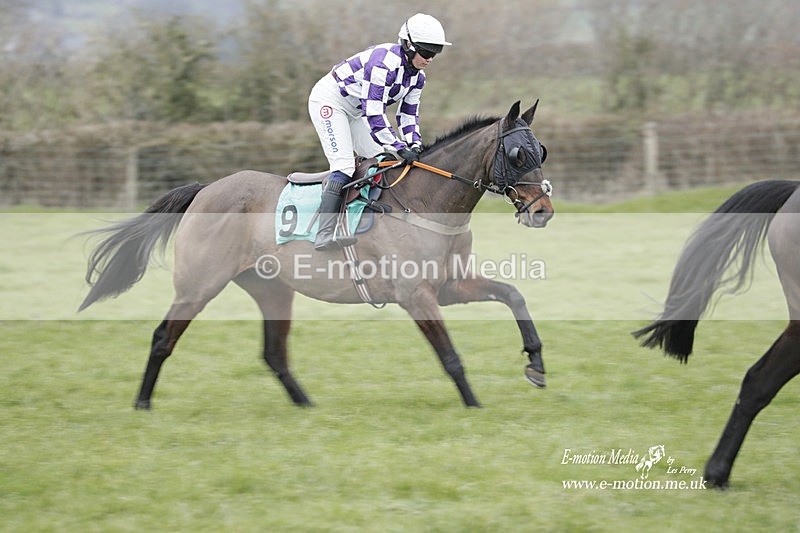PtP 050323 392 - Blackmore & Sparkford Vale Hunt PtP - Somerset 05/03/23