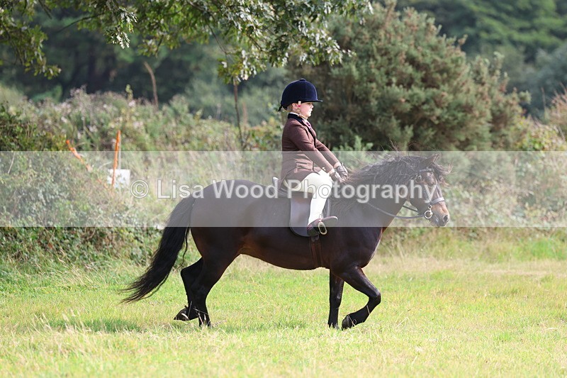 3E7A3848 - Class 3: First Ridden