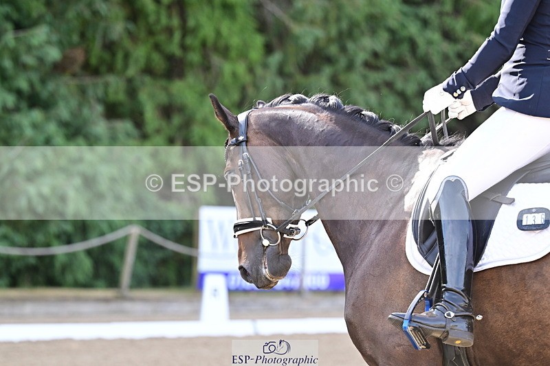 260802A-093926-05019 - Novice Silver start - break