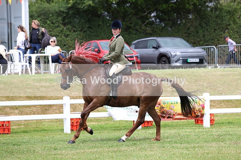 3E7A0943 - Class 8: Open Riding Horse/Hack