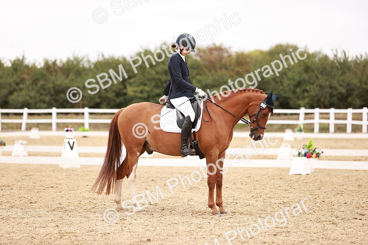 SBM_019825 - Class 19-21 - Elementary 6-Medium 6