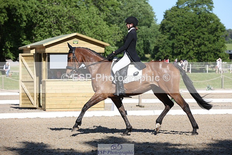230526-090802-05004 - 352-TEQUILA_SUNRISE-Pippa_Taylor-WEDTrotUp+DR