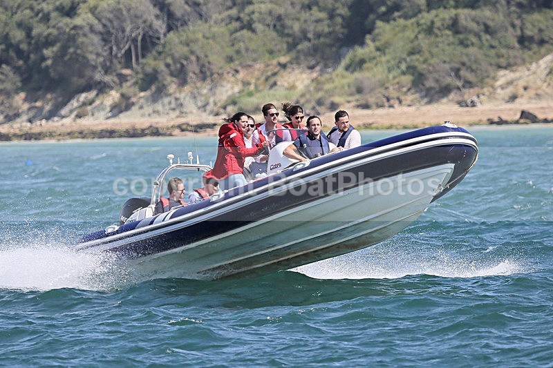 160813 COBRA RIB Y92A2561 - RIBs, Tenders, Dories, Dinghies