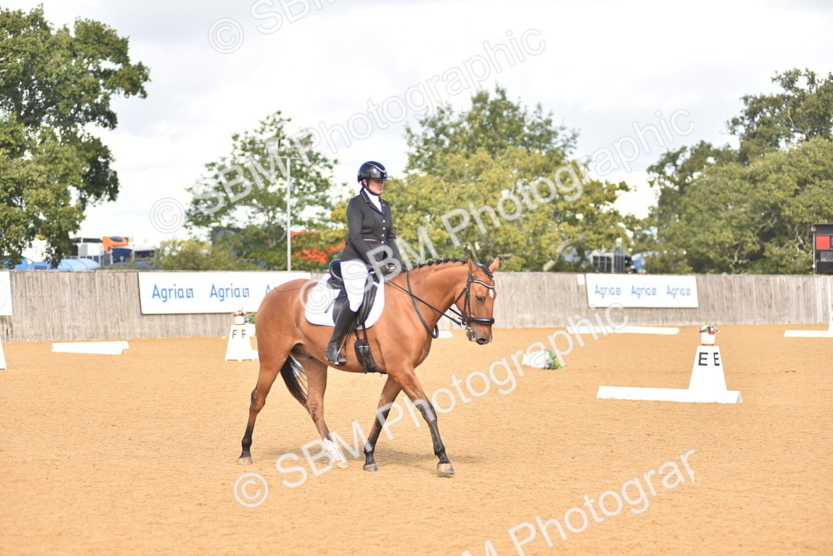 SBM_03059 - D4 - Small Tour Championship Intro 4