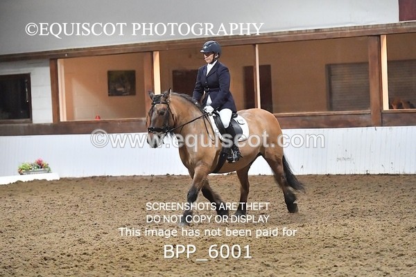 BPP_6001 - ELEM TEST 4