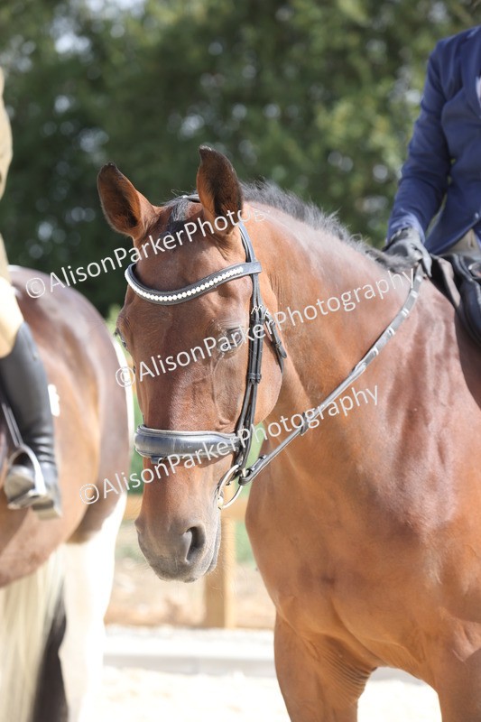 20260802-0507 - Class 6 - Veteran Ridden