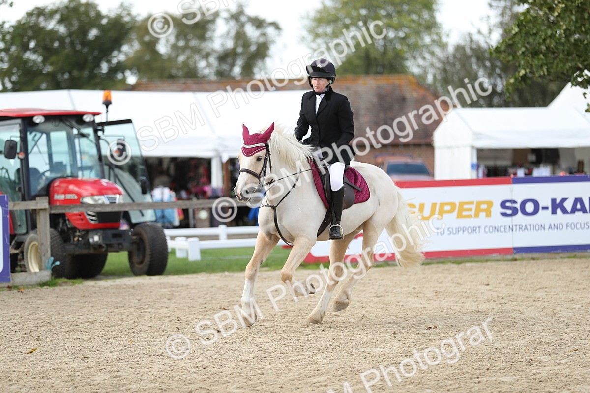 SBM_06428 - J29 - Senior Horse & Pony 65cm Championship