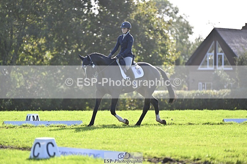 241025-111814-06824 - 365-Charlotte.Cutler-HOLY.STREET