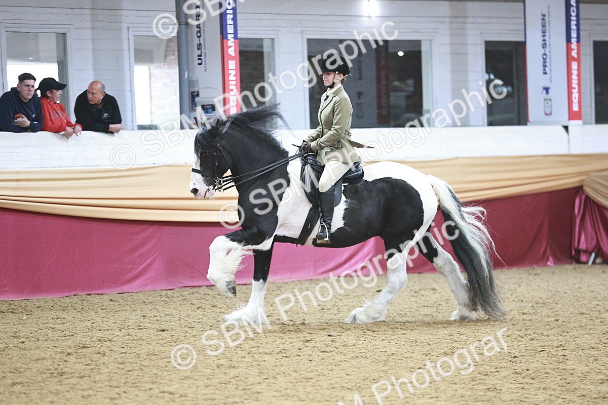 SBM_08912 - Class 12R - Regional Ridden Pre-Vet