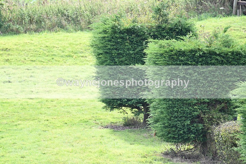 WJ7_7636 - Time 13:30 to 13:48