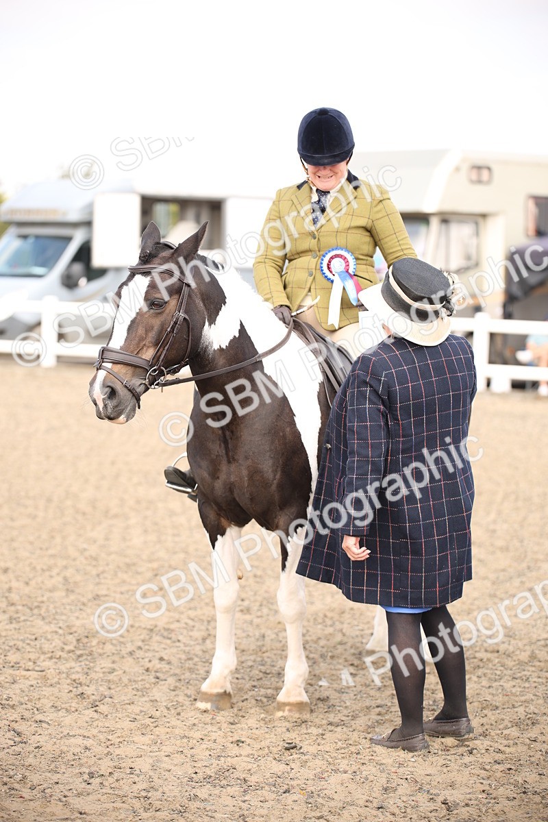 SBM_13618 - Class 406b - Working Veteran 50cm (20+)