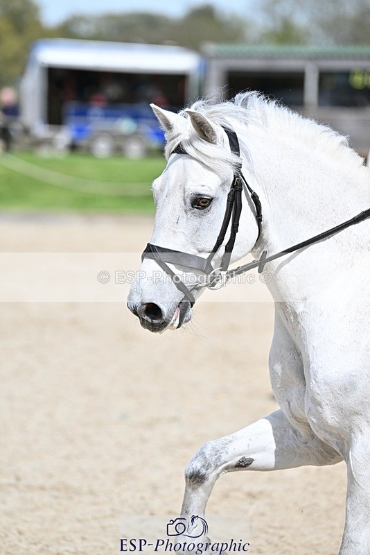 240413-122408-00955 - Cls 5+6 80cm Start to 1pm