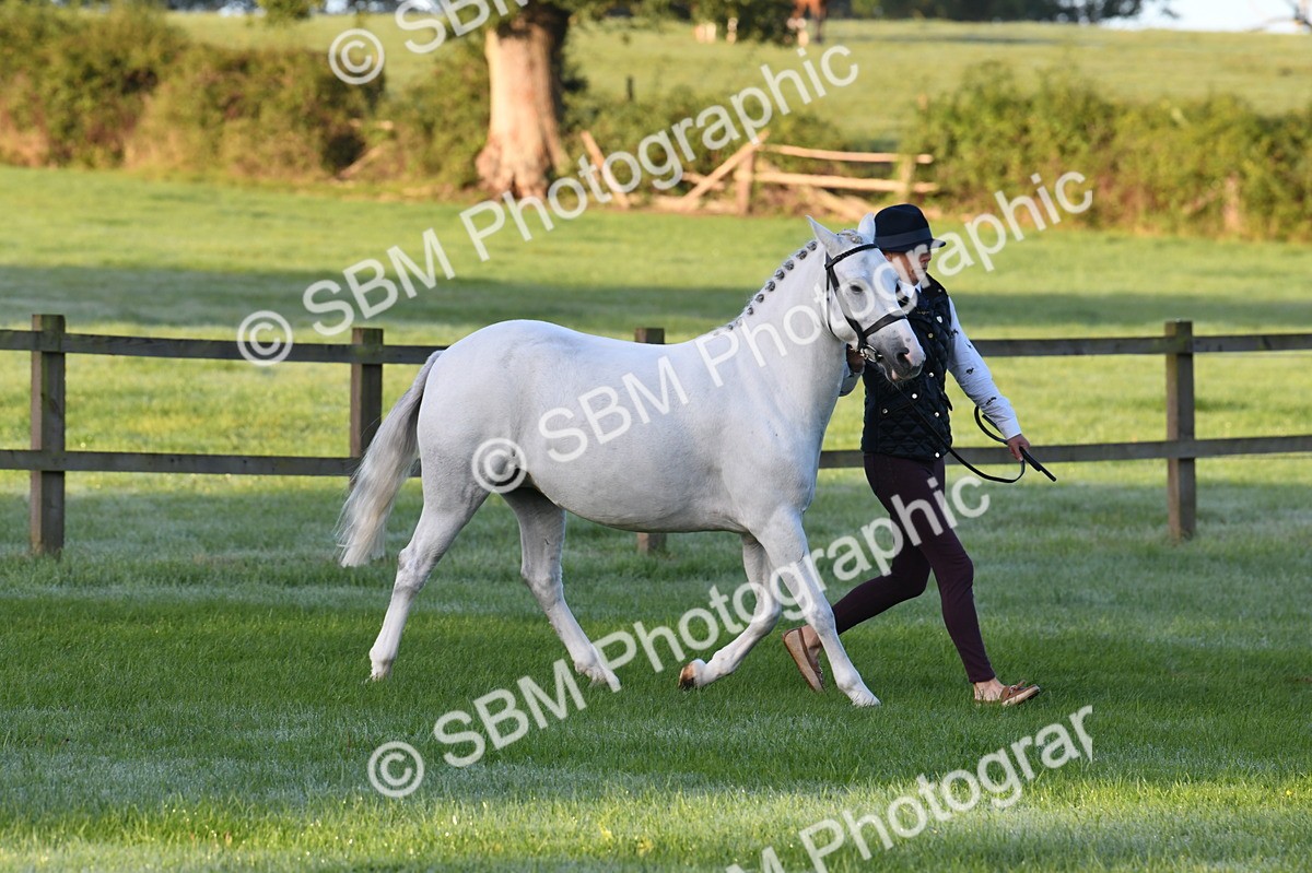 SBM_32510 - S15 - Condition & Turnout In Hand