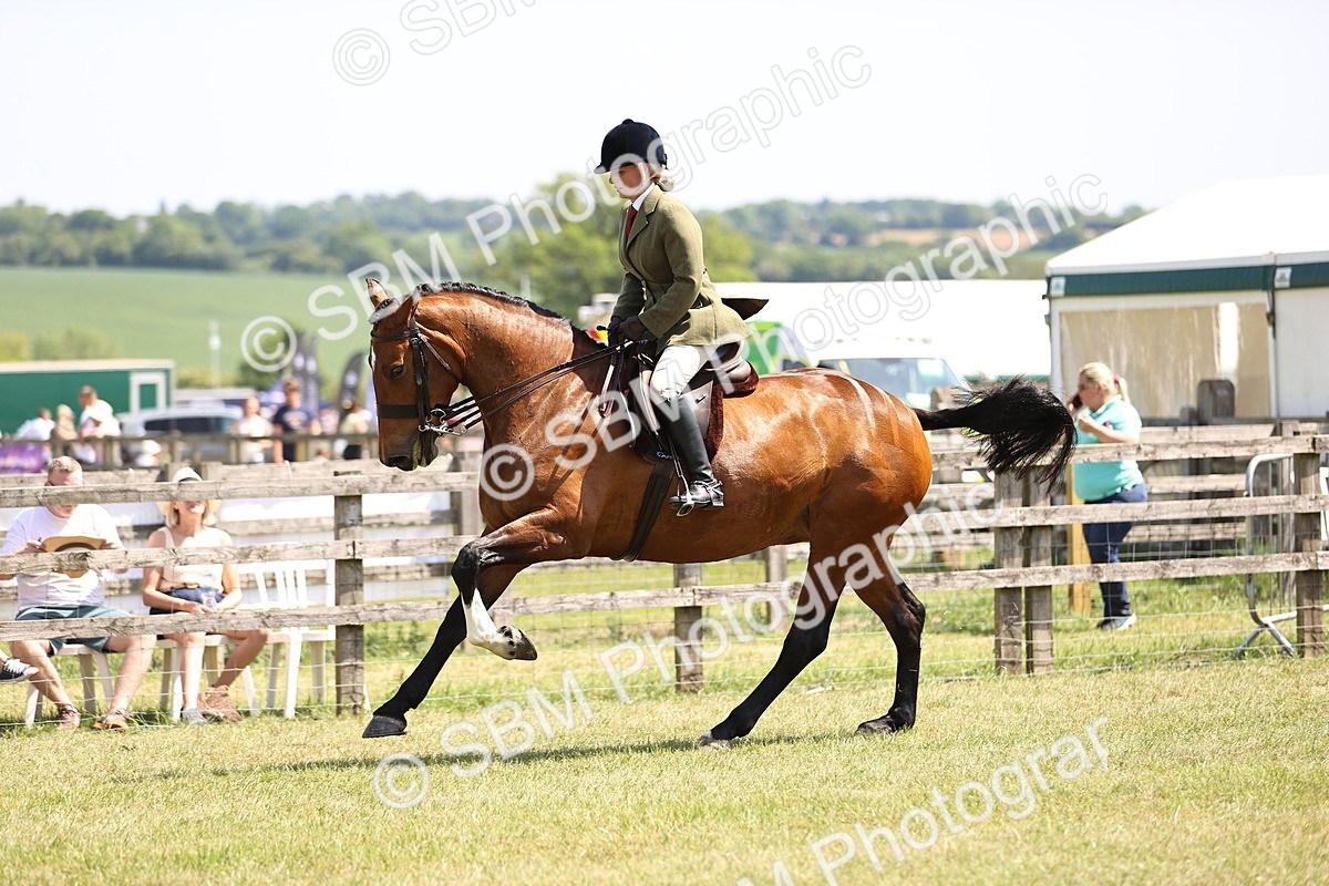 SBM_15126 - Class 79-80 - LIHS BSHA Rising Star Ridden Hunter