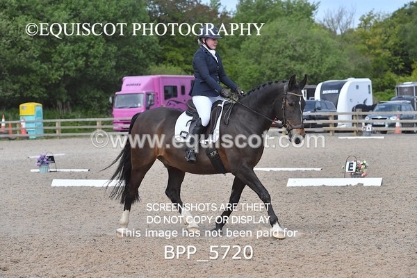 BPP_5720 - 25 V HAMILTON