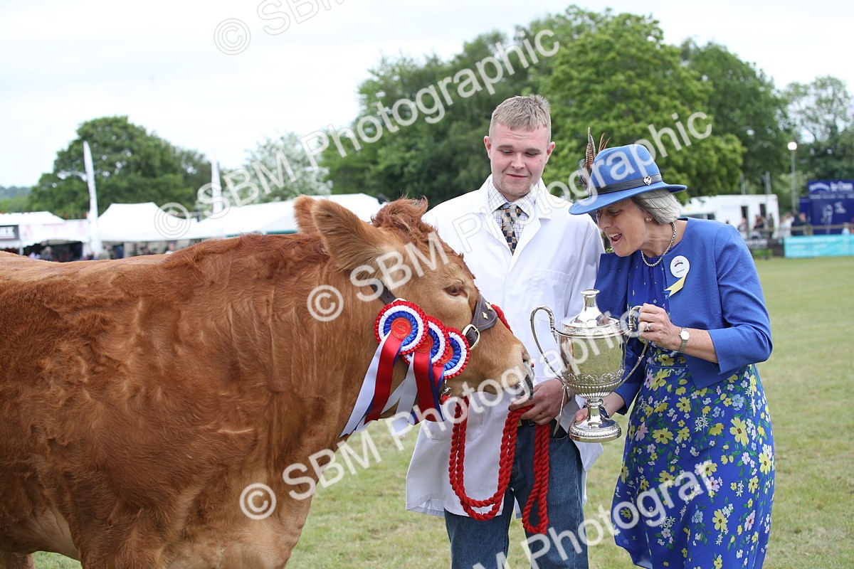 SBM_07924 - Grand Parade